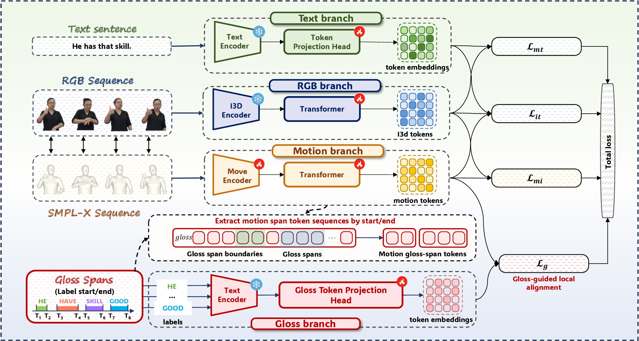 Framework overview: text, RGB, motion and gloss branches producing token embeddings, combined through L_mt, L_it, L_mi and the gloss-guided loss L_g.